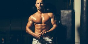 Understanding Muscle Types